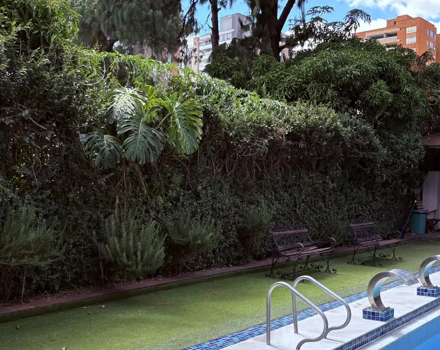 Jardín junto a la piscina, con vegetación real